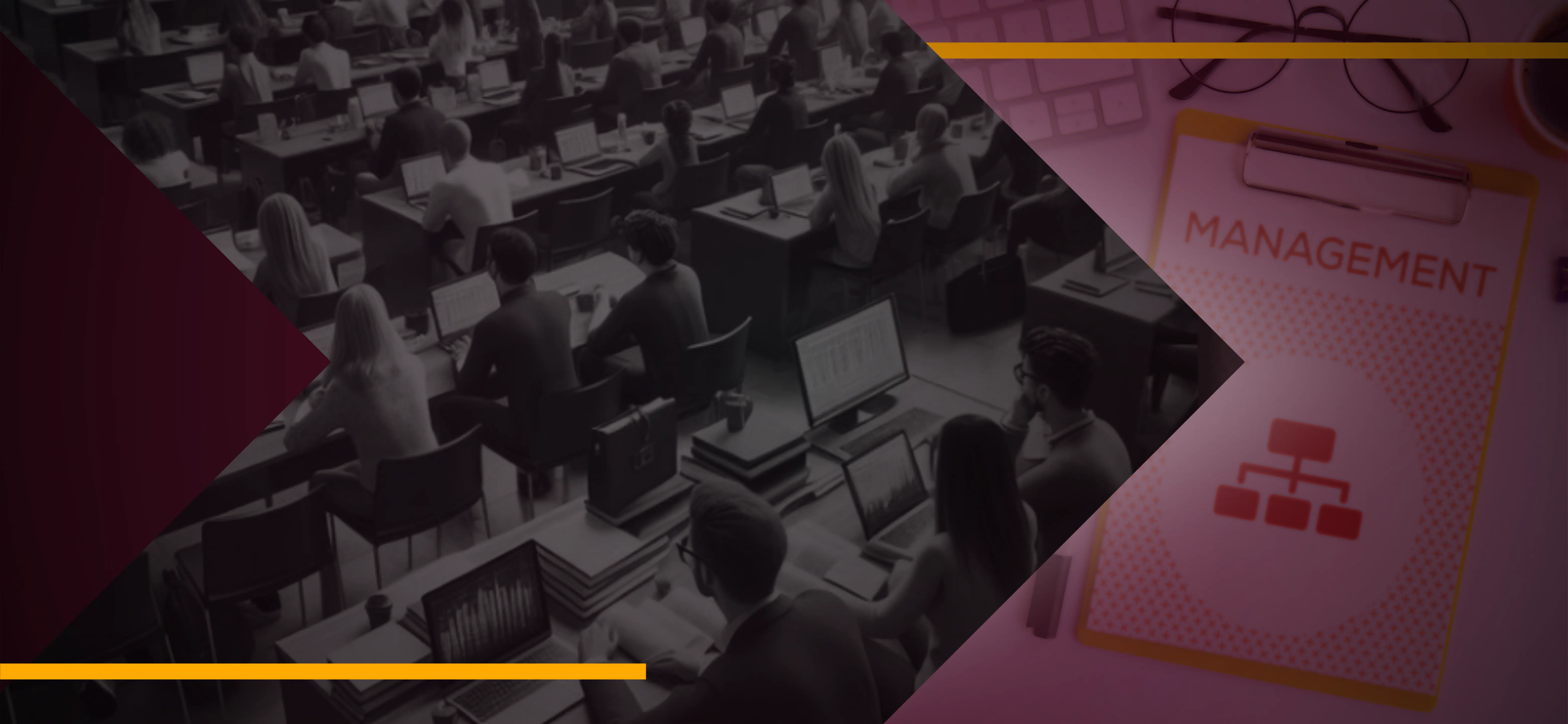 Study Anchor - Expert coaching for CLAT, AILET, IPM, BBA, SAT, CUET Study Anchor - Leading competitive exam coaching institute